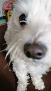 Screenshot_20210121-134732