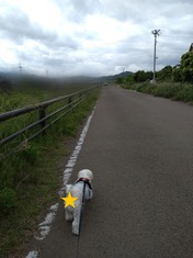 ぼかし丸_20240602_163431