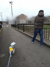 ぼかし丸_20240227_172155