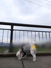ぼかし丸_20230710_191615