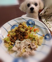 ぼかし丸_20230717_182002