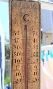 DSC_0005_BURST20240428133526205