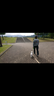 Screenshot_20201207-194052