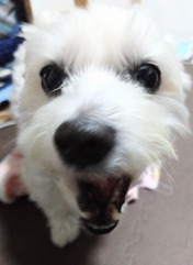 DSC_0001_BURST20241125212330944~2