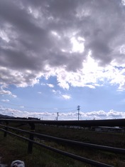 DSC_0008_BURST20231026125539565~2