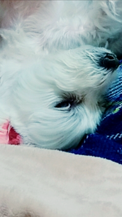 Screenshot_20210129-224419