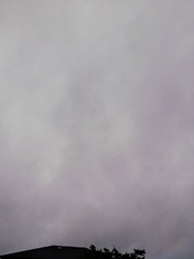 1000158929