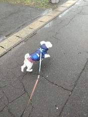 DSC_0004_BURST20260331112735388~2