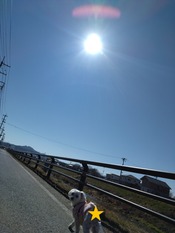 DSC_0015_BURST20240213114311880~2