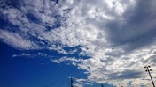 DSC_0000_BURST20220821073440513~2