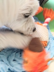 DSC_0001_BURST20230611132947083~2