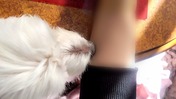 ぼかし丸_20251115_170005