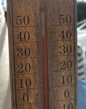 1000165539