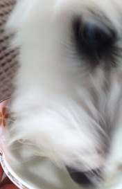 DSC_0000_BURST20240922095734788~2