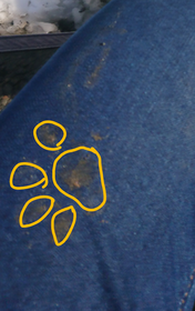 sketch-1676181370877