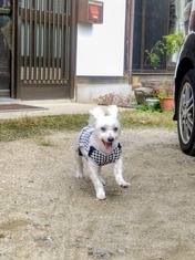 DSC_0013_BURST20260930112830385~2