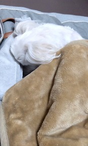 1706093887712~2