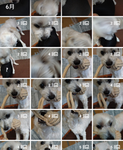 Screenshot_20230612-115651~3