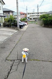 ぼかし丸_20240715_152603