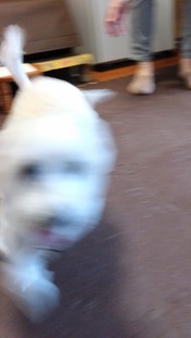 DSC_0000_BURST20231023135816191~2