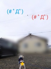 1000113544