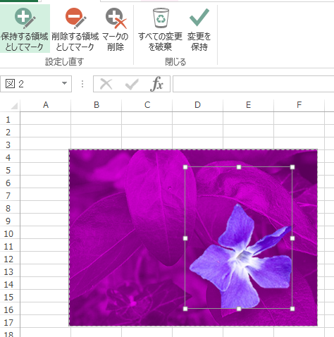 Excelやパワーポイントで、写真の背景を削除する方法 : ミキパパの 
