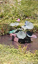 1a5092eb.jpg