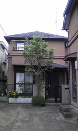 3785630a.jpg