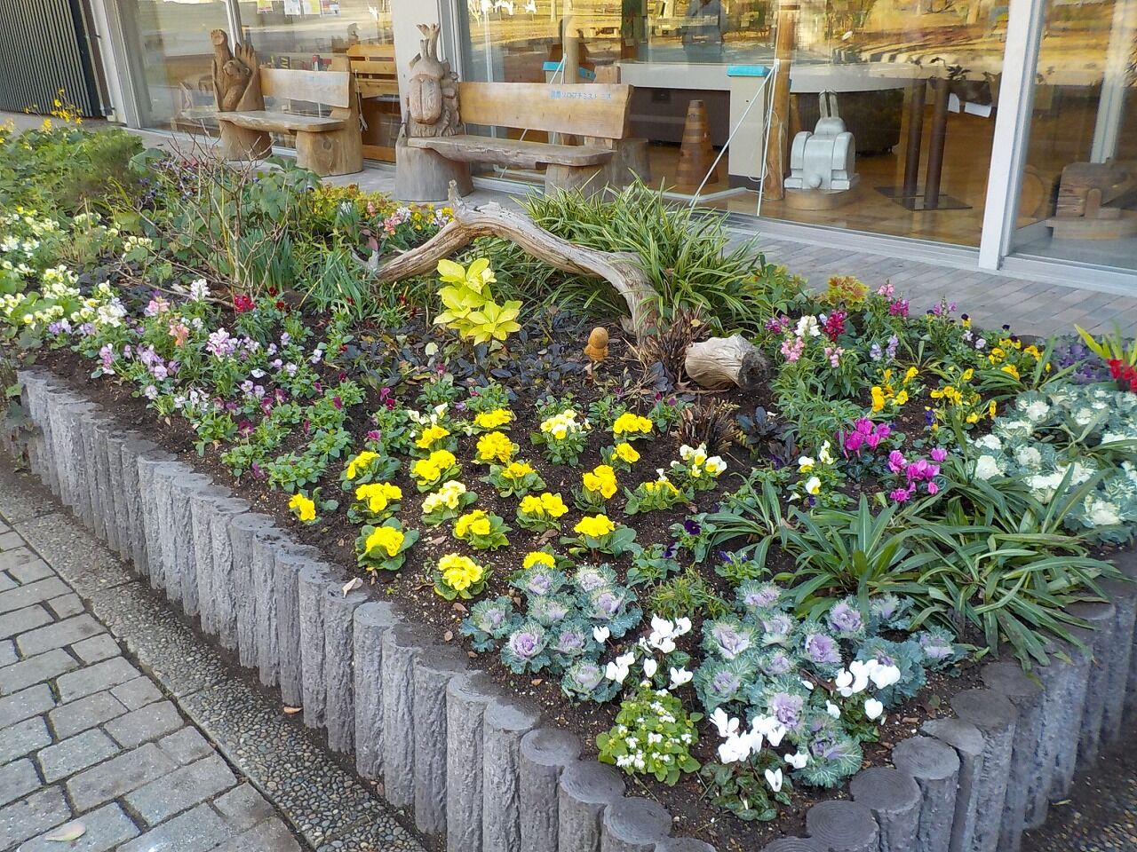 冬花壇に植え替えました みきやま通信