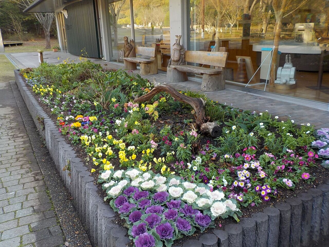 冬花壇 みきやま通信