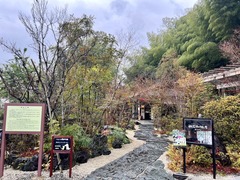 9FF6646A-9ACC-4DD0-B000-4FE2841346ED