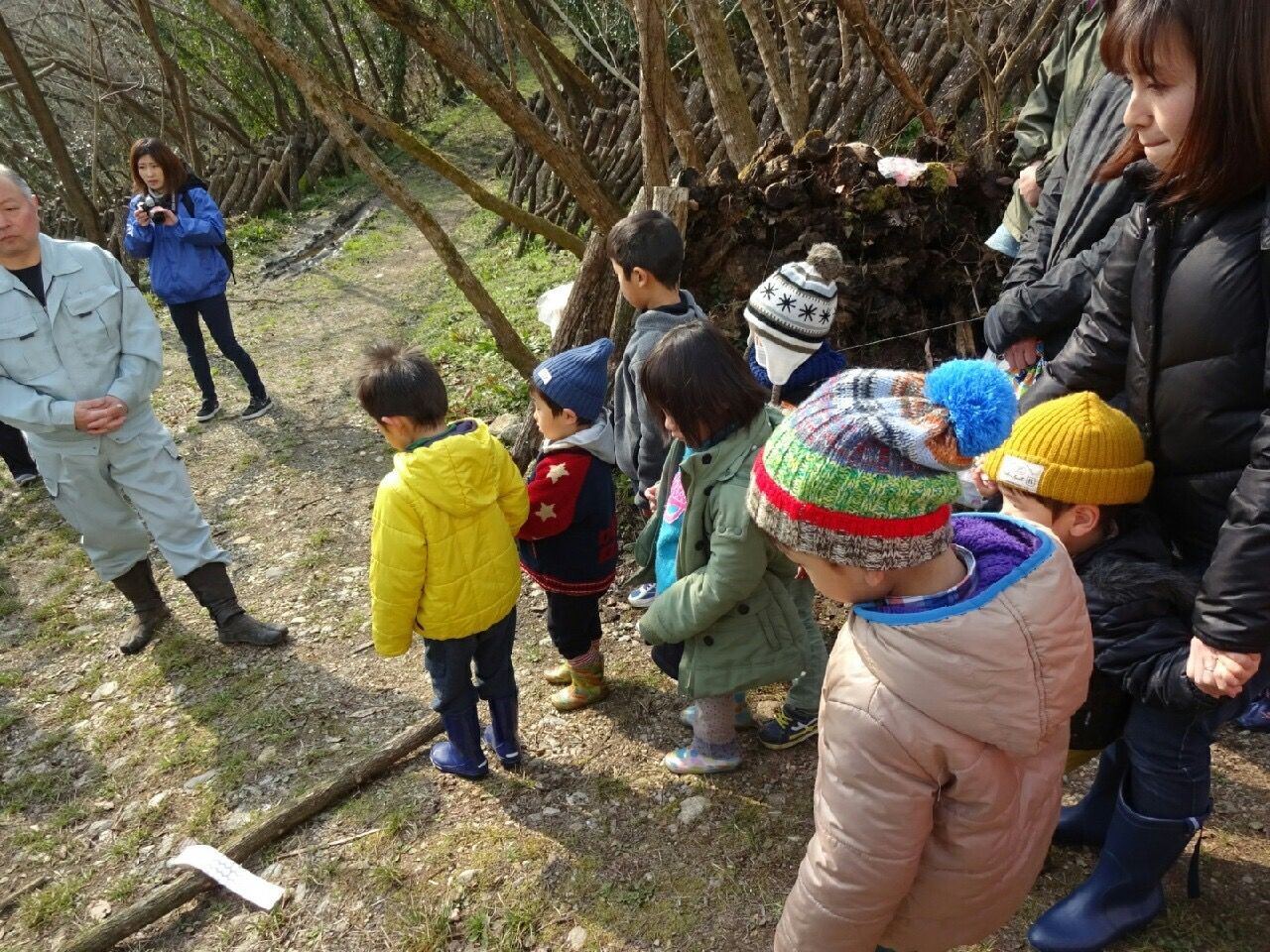 ｊａ愛媛たいき親子健康スクールでシイタケ植菌 収穫体験 ちびっこ和太鼓サークル 和奏 わかな