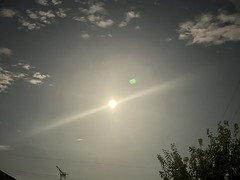 09C65D02-E019-47C9-97C3-F25B9855D281