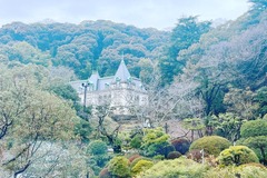 75494A37-E0DB-434D-A724-F8753105A57D