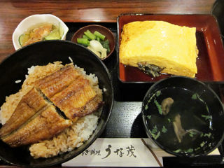 うな茂