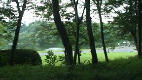 11川村1