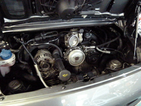 P1100025