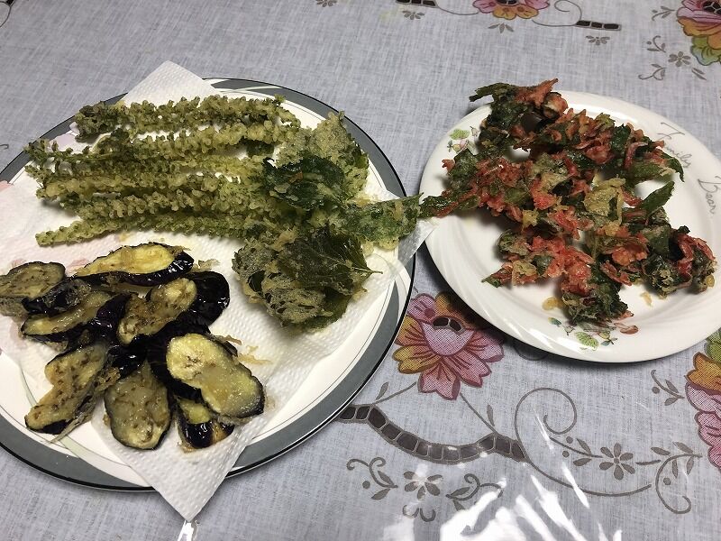 観賞用トウガラシ イヌホウズキ シソの花 天ぷら Mikoの庭blog