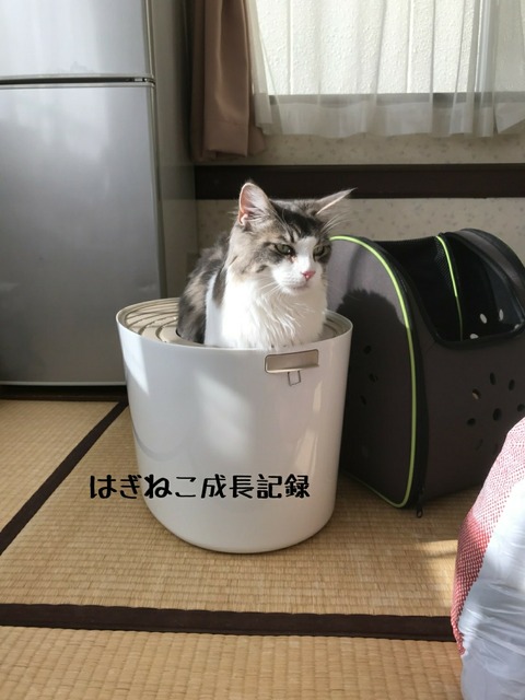 20180626223506374