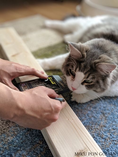 予算は三千円 大型猫のための爪とぎ作り Diy ディアウォールと麻縄で一生モノの爪とぎができました ミクぽんのご飯記録 予算は三千円 大型猫のための爪とぎ作り Diy ディアウォールと麻縄で一生モノの爪とぎができました ミクぽんのご飯記録