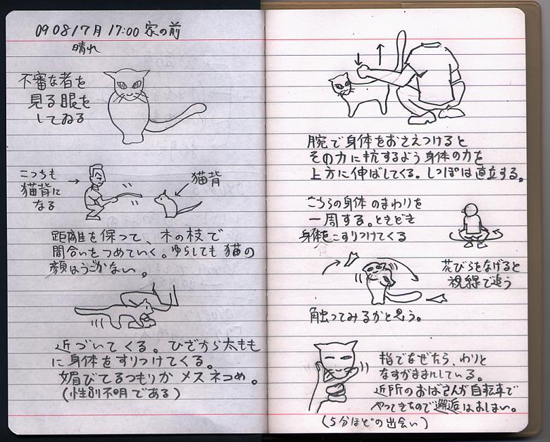 ネコ観察日記 みくまくノート