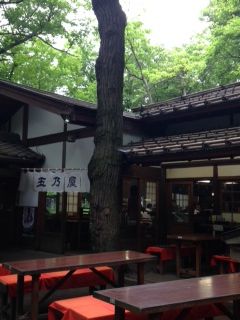 深大寺 玉乃屋 三鷹 たかね Mikumamaの食べ歩記