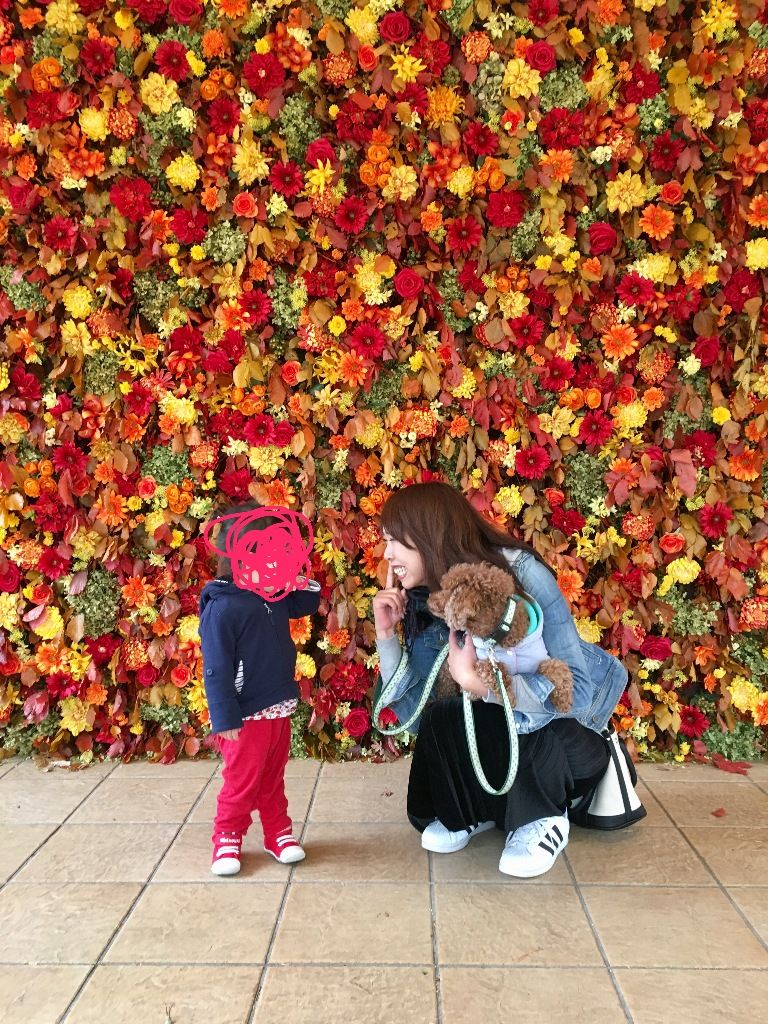 軽井沢 ホテル ブレストンコートの花の壁 Mikumamaの食べ歩記