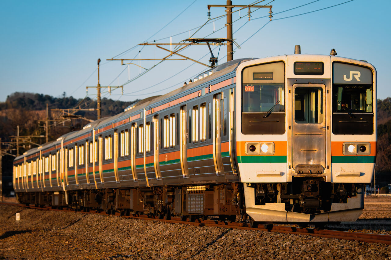 行くのたいへん(211系C13編成) : 反実仮想