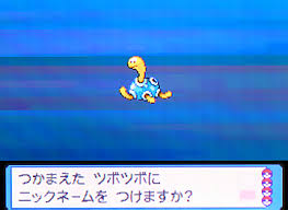 images (3)