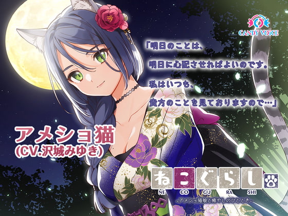 沢城 様 専用ページ Www Vetrepro Fr