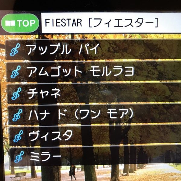 FIESTARカラオケ