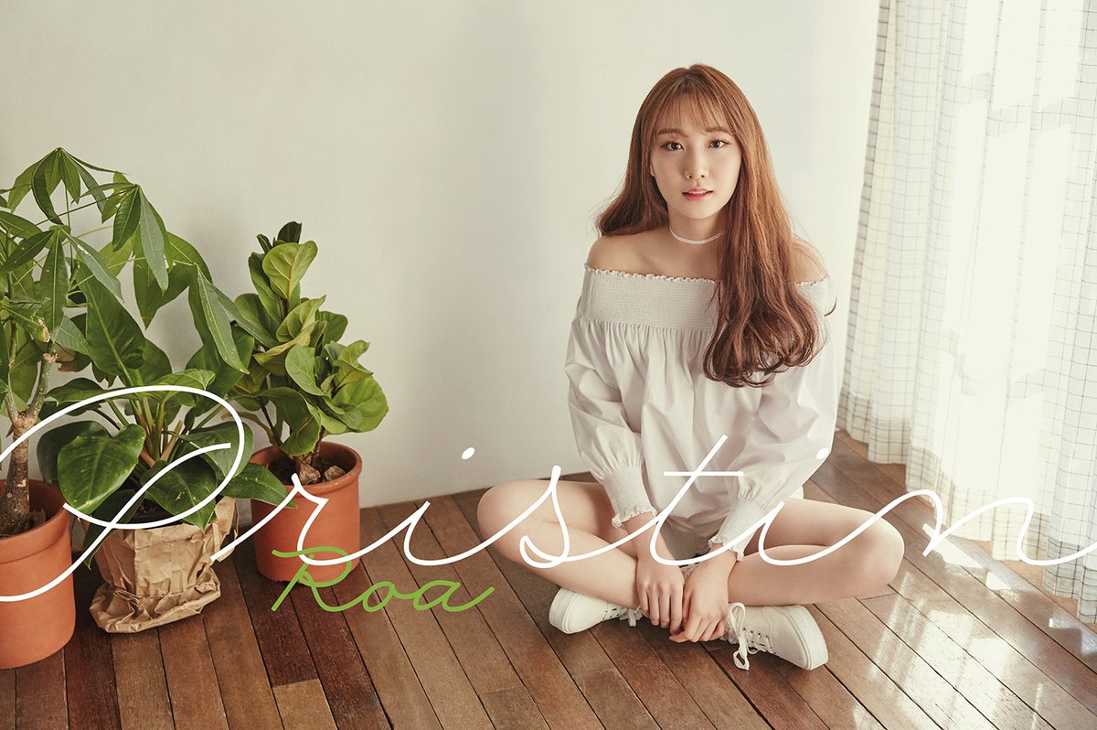 Pristin (Pledis Girlz) メンバーのプロフィール : ぱんちゃぱんちゃ