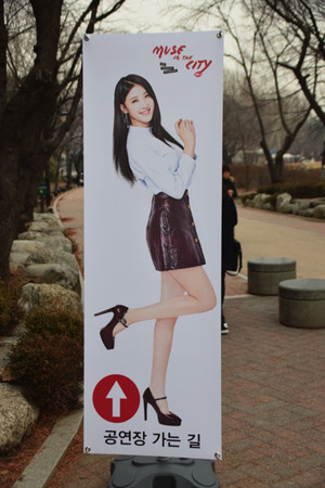 Nine Muses