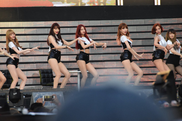 Nine Muses